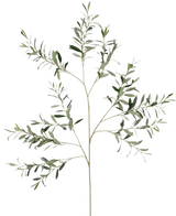 De Kunst Olijftak 109 cm heeft meerdere slanke stengels met kleine, langwerpige groene bladeren tegen een effen witte achtergrond.