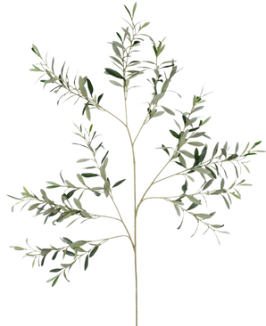 De Kunst Olijftak 109 cm heeft meerdere slanke stengels met kleine, langwerpige groene bladeren tegen een effen witte achtergrond.