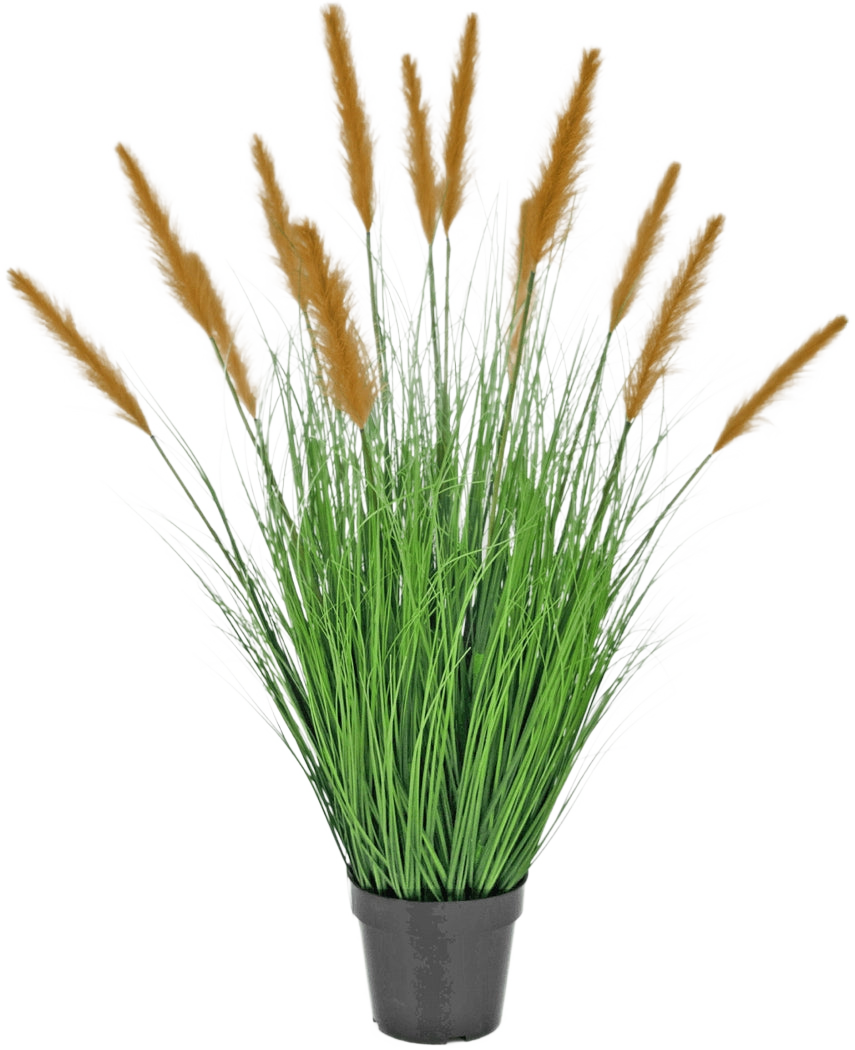 Die feuerhemmende Kunstrasenpflanze Strauß 100 cm steht in einem schwarzen Topf mit hohen, grasähnlichen Blättern und langen braunen Federn, die vor einem schlichten weißen Hintergrund eine grüne Dekoration darstellen.
