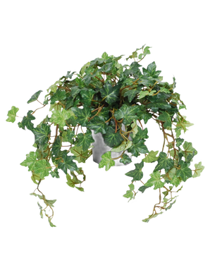 De Kunst Klimop Deluxe groen in pot 40 cm UV heeft weelderige, groene, hartvormige bladeren en lange, slingerende ranken die over de zijkanten van de pot groeien. Afgebeeld tegen een effen witte achtergrond.