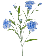 De Kunstbloem Anjer tros 70 cm blauw heeft verschillende delicate lichtblauwe anjerbloemen met groene blaadjes op dunne stelen, tegen een witte achtergrond.