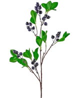 De Kunsttak Berry 76 cm paars heeft een tak met heldergroene bladeren en trossen kleine, ronde, donkerpaarse bessen tegen een effen witte achtergrond.