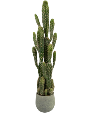 De Kunst Cactus 100 cm heeft hoge, groene, rechtopstaande armen met ribbels, in een ronde grijze pot tegen een effen witte achtergrond.