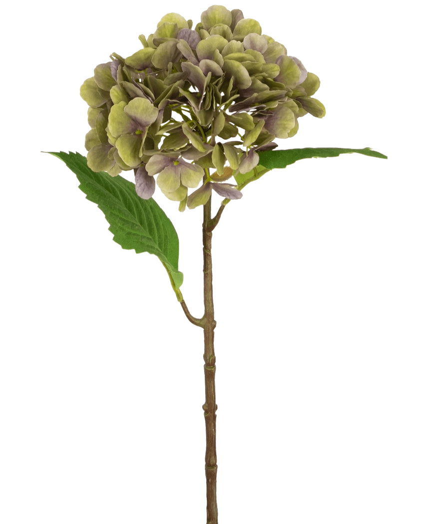 Die künstliche Hortensie Deluxe 55 cm grün/lila hat einen einzelnen künstlichen Hortensienstiel mit grünen und violetten Blütenblättern und zwei grünen Blättern auf einem schlichten weißen Hintergrund.