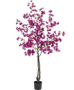 Die künstliche Bougainvillea 180 cm Lila hat dunkle Zweige, leuchtend lila Blüten und grüne Blätter in einem schwarzen Topf – perfekt als farbenfrohe Kunstpflanze für Ihr Wohnzimmer.