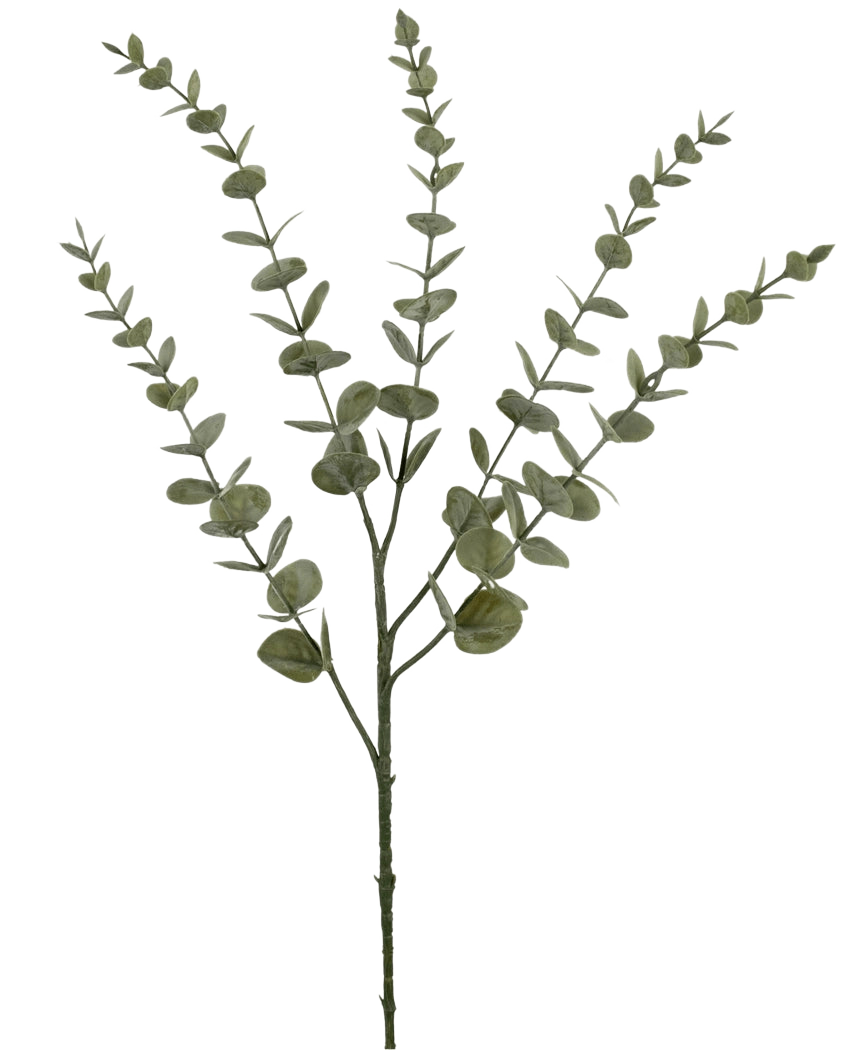 Die künstliche Blume Eukalyptus Yugali 71 cm ist ein einzelner künstlicher Stiel mit fünf verzweigten Zweigen und kleinen, runden grünen Blättern, isoliert auf weißem Hintergrund dargestellt.