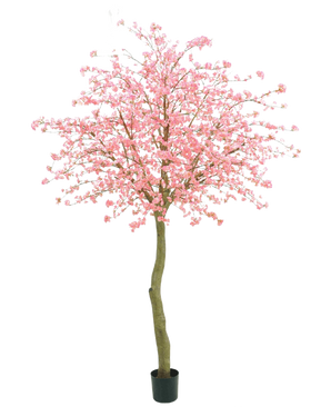 De Kunstboom Kersenbloesem roze 330 cm heeft een gebogen bruine stam en overvloedige roze bloemen tegen een effen witte achtergrond.