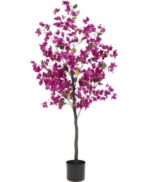 De Kunstplant Bougainvillea 150 cm Paars heeft levendige paarse bloemen en weelderige groene bladeren in een eenvoudige zwarte pot, waardoor het het perfecte accent in het interieur is; afgebeeld geïsoleerd op een witte achtergrond.