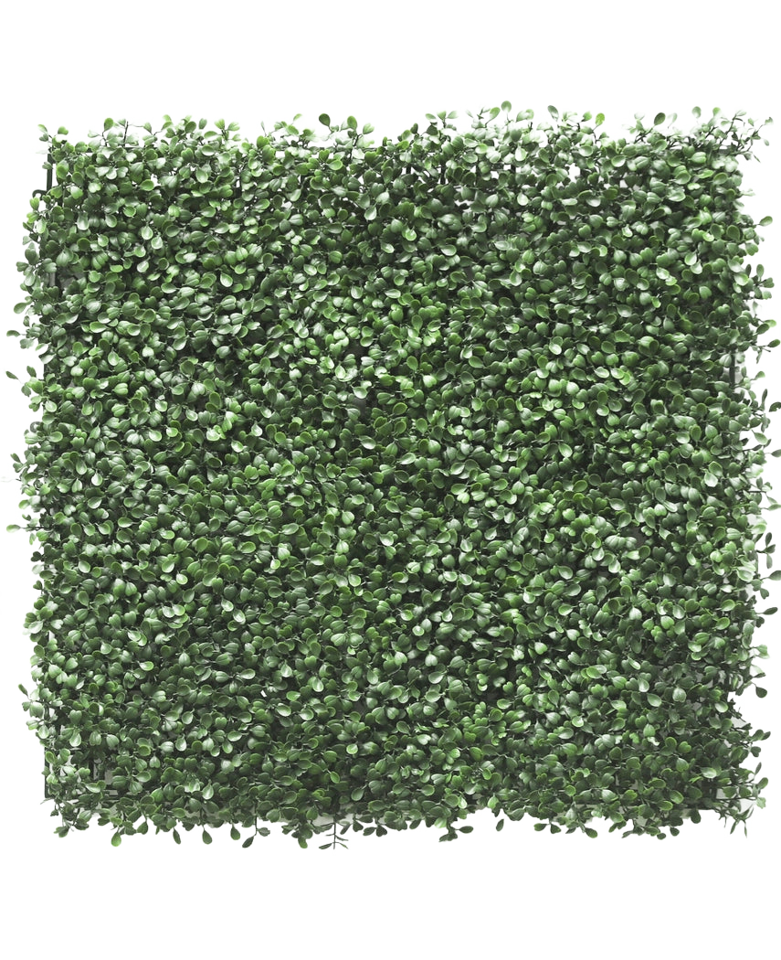 Die künstliche Buchsbaumhecke 50 x 50 cm UV verfügt über dicht gepackte künstliche grüne Blätter, die eine üppige Hecke oder einen vertikalen Gartenlook schaffen und jeden Raum perfekt verschönern.