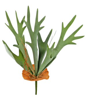 De Kunstplant Staghorn 53 cm heeft groene, geweivormige bladeren en een bruine, schildachtige basis, tegen een effen witte achtergrond.