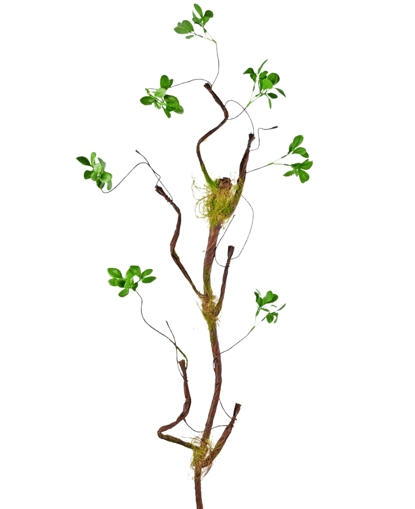 Der Kunstzweig Enkianthus 100 cm grün, eine schlanke künstliche Ranke mit kleinen grünen Blättern und Moosakzenten, steht vor einem schlichten weißen Hintergrund.
