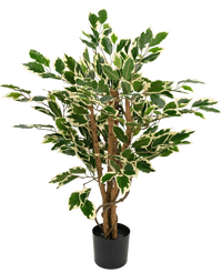 Kunstpflanze Ficus Grün/Weiß 90 cm