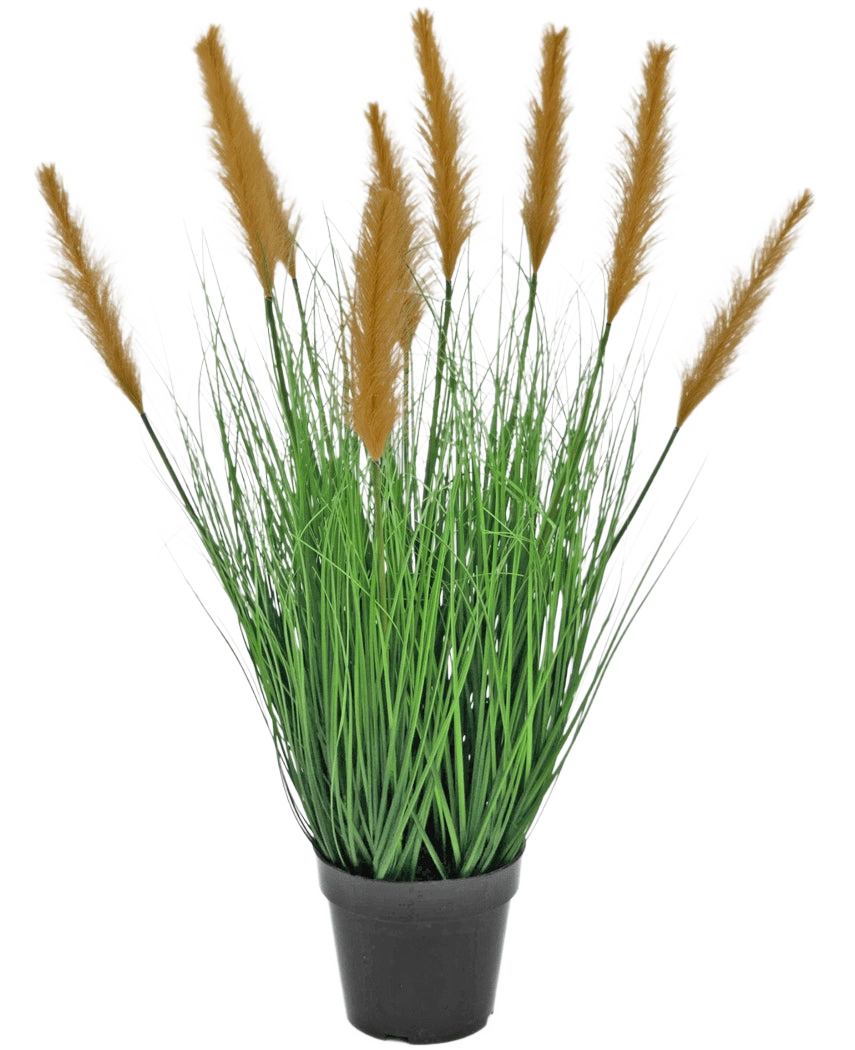 Die feuerhemmende Kunstrasenpflanze Strauß 80 cm hat lange, schlanke grüne Halme und hohe braune Federn in einem schwarzen Topf vor einem weißen Hintergrund – ideal für Kunstpflanzenliebhaber.