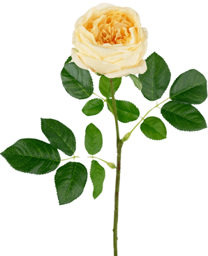 De Kunsttuinroos "Anniken" Real Touch geel is een 72cm kunstmatige lichtgele roos met meerdere groene bladeren en een lange, slanke steel, tegen een witte achtergrond.