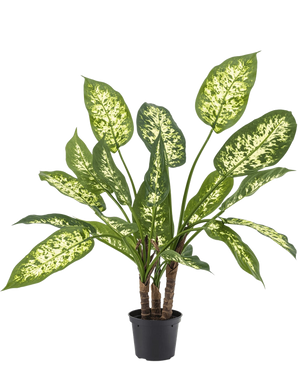 De Kunstplant Dieffenbachia 40 cm, met weelderige groene bladeren en licht geelwitte spikkels, staat elegant in stijlvolle sierpotten tegen een effen witte achtergrond.