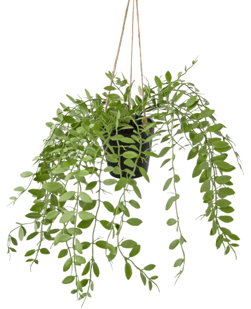 Künstliche Hängepflanze Pumila im Topf 30 cm – Easyplants Deutschland