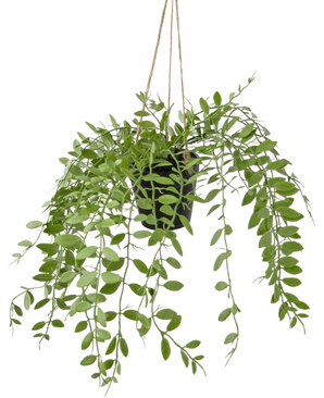 Die künstliche Hängepflanze Pumila im 30-cm-Topf hat grüne Ranken mit ovalen Blättern, die an drei Schnüren vor einem schlichten weißen Hintergrund hängen.