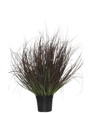 De Kunst Grasplant Gazon 50 cm brandvertragend wordt geleverd in een zwarte plastic pot, met stekelig siergras met lange, dunne, donkerpaarse en groene bladeren - perfect voor interieurdecoratie - op een witte achtergrond.