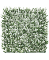 De Kunsthaag Buxus wit 50x50 cm UV is een vierkant kunst buxuspaneel met kleine witgetipte blaadjes op een kunststof rooster, afgebeeld op een witte achtergrond.