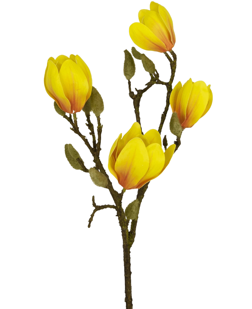 Die Kunstblume Magnolie 50 cm gelb/orange mit mehreren leuchtend gelben und orangefarbenen Blüten mit grünen Knospen sticht als auffällige Kunstblumendekoration auf einem schlichten weißen Hintergrund hervor.