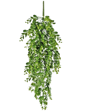 Die künstliche Hängepflanze Pancake 61 cm hat leuchtend grüne künstliche Blätter, die vor einem schlichten weißen Hintergrund herunterfallen und einer echten Hängerebe ähneln.
