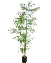 Künstliche Pflanze Ruscus 210 cm