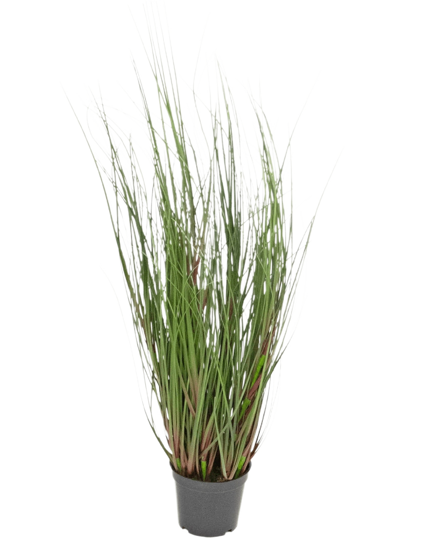 Die feuerhemmende Kunstrasenpflanze Zwiebel 60 cm ist ein Ziergras in einem Topf mit langen, dünnen grünen Halmen und einigen rötlichen Stielen vor einem schlichten weißen Hintergrund.