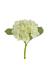Die künstliche Blumenhortensie 34 cm weiß hat weiche, runde weiße Blütenblätter und zwei große grüne Blätter an einem langen Stiel. Ideal als dekorative Blume für jedes moderne Interieur, vor einem weißen Hintergrund.