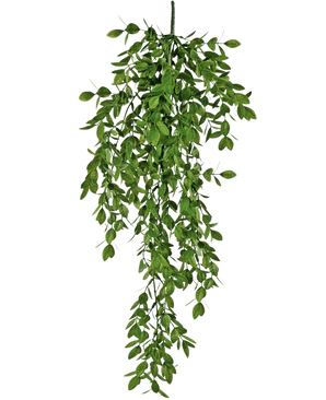 De Kunst hangplant Jasmin 70 cm heeft dichte trossen kleine groene blaadjes die op natuurlijke wijze naar beneden vallen en een weelderig, draperend effect creëren tegen een witte achtergrond.