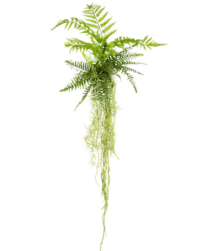 De Kunst hangplant Varen 90 cm heeft weelderige groene varenbladeren met lange, slepende stengels die naar beneden hangen tegen een effen witte achtergrond.