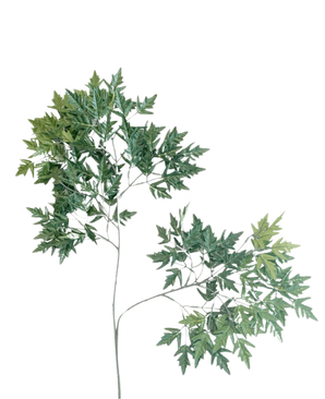 De Kunstblad Ming Aralia 50 cm groen brandvertragend heeft meerdere clusters van groene, gekartelde, puntige bladeren in een opwaarts verspreid patroon tegen een witte achtergrond.