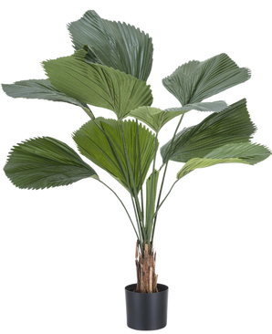 De Kunstplant Lucuala Grandis 120 cm heeft grote, waaiervormige groene bladeren en meerdere stelen in een eenvoudige zwarte pot, tegen een effen witte achtergrond.