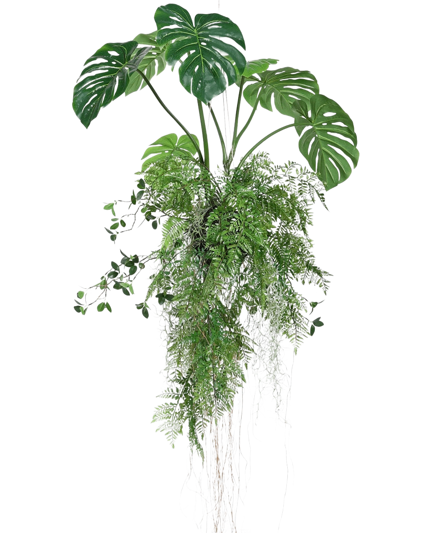 Künstliche Hängepflanze Monstera/Farnkugel 100 cm XL – Easyplants Deutschland