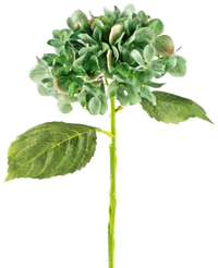 Künstliche Hortensie Deluxe 33 cm dunkelgrün
