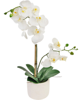 Die künstliche Orchidee Real Touch 60 cm weiß hat zarte weiße Blüten, grüne Knospen und breite grüne Blätter, getragen von einem dünnen Stab in einem kleinen weißen Topf.
