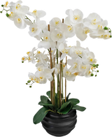 De Kunst Orchidee Real Touch 85 cm wit heeft grote witte orchideeënbloemen met een geel hart en glanzend groene bladeren, prachtig gerangschikt in een zwarte pot van keramiek.