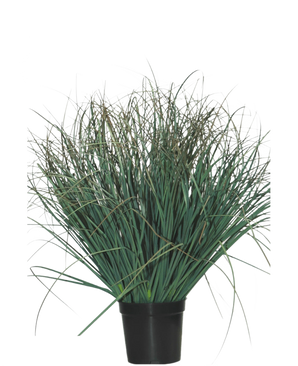 De Kunst Grasplant Gazon groen 50 cm brandvertragend is een groene plant in pot met lange, dunne bladeren en enkele droge bruine punten, die een natuurlijke uitstraling geeft aan elke ruimte tegen een effen witte achtergrond.