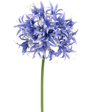 Eine künstliche Nerine-Blume, 70 cm, violett, mit vielen kleinen sternförmigen violetten Blüten in einer kugelförmigen Gruppe auf einem langen grünen Stiel, vor einem schlichten weißen Hintergrund.